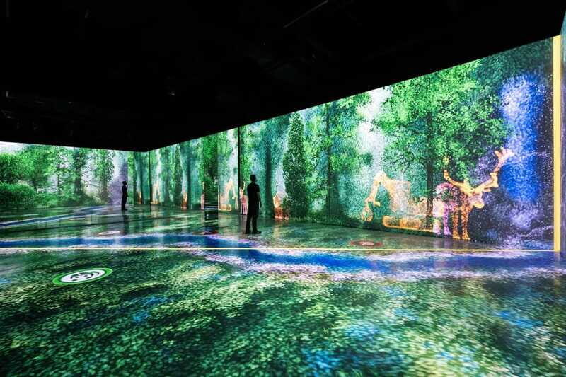 Toronto: Arcadia Earth, Immersive Experience Anytime Ticket - What Makes This Experience Special