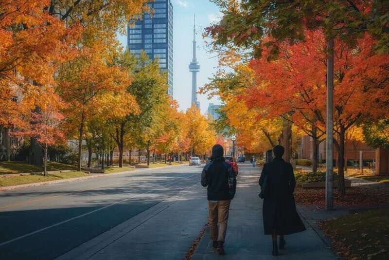 Toronto: City Highlights Walking Tour | 3-Hour - The Sum Up: Is This Tour Worth It?