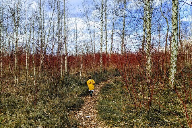 Toronto Custom Private Walking Tour of Hidden Gems with a Local - FAQ