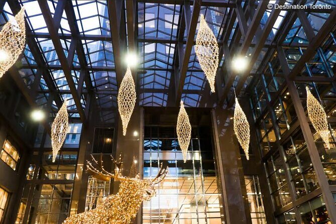 Toronto Holiday Lights Bus Tour - What Makes This Tour Special