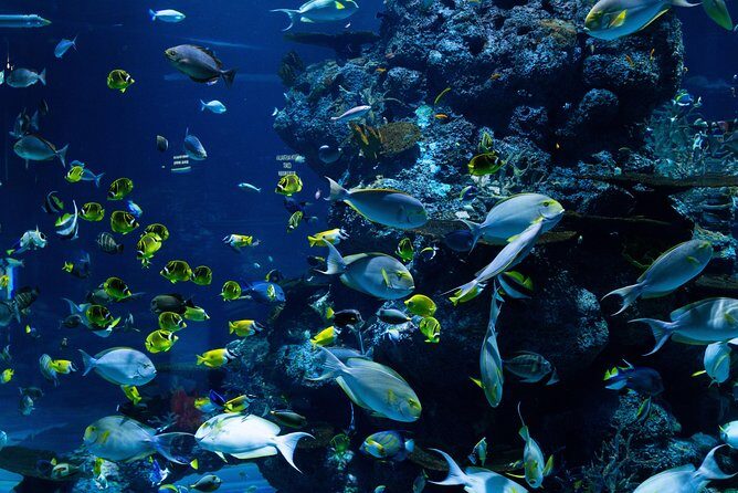 Toronto & Niagara Falls 2 Days Tour - FAQ