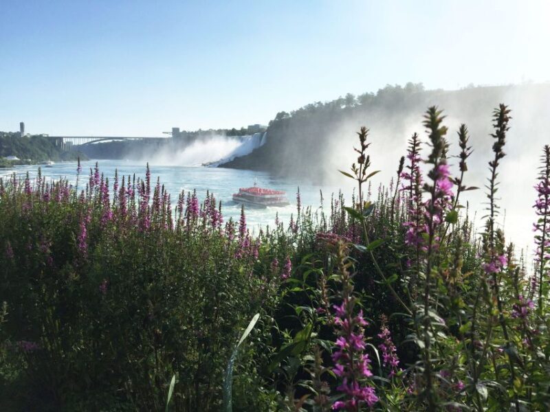 Toronto: Niagara Falls Guided Day Tour, Boat & Skylon Tower - The Sum Up