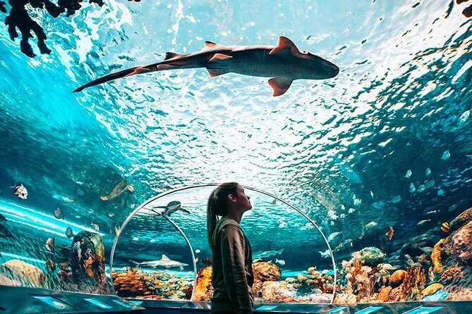 Toronto, Niagara Falls & Thousand Islands 3DAY Trip - FAQs