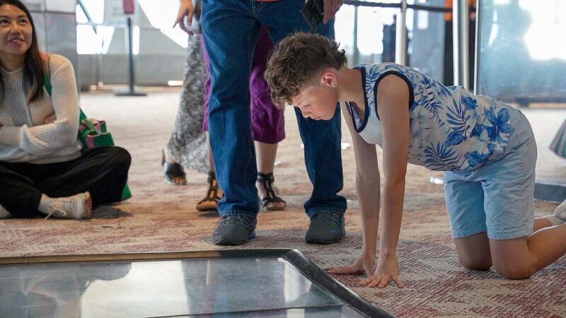 Toronto: Premium Driving Tour with Tower and Harbour Cruise - A Deep Dive: What to Expect on This Tour