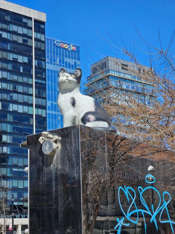 Toronto: Private Walking Tour of City Highlights - Key Points