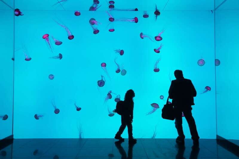 Toronto: Ripley's Aquarium of Canada Entry Ticket - Final Thoughts on Value and Experience