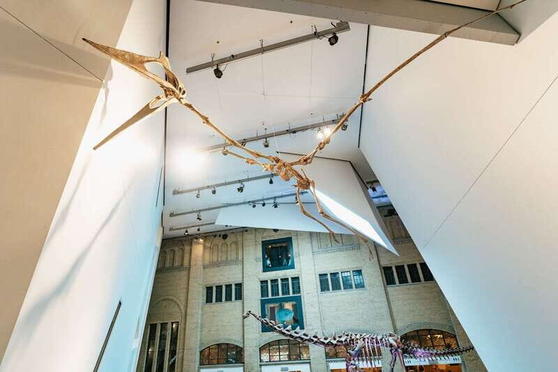 Toronto: Royal Ontario Museum Admission Ticket - Key Points