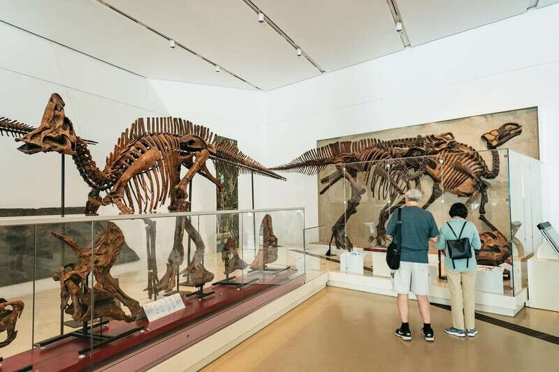 Toronto: Royal Ontario Museum Admission Ticket - Exploring the Royal Ontario Museum: A Deep Dive