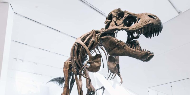 Toronto: Royal Ontario Museum Scavenger Hunt - Key Points