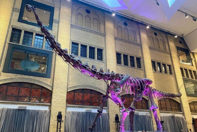 Toronto: Royal Ontario Museum Scavenger Hunt - Why You Should Consider This Experience