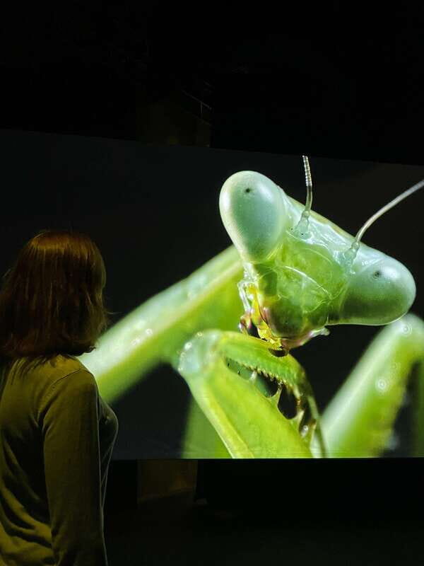 Toronto: Royal Ontario Museum Special Exhibits Voucher - FAQ