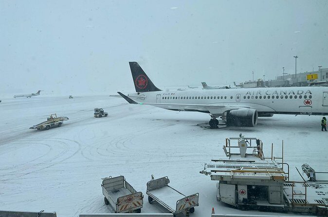 Toronto to Niagara Day Tour - Final Thoughts: Is This Tour Right for You?