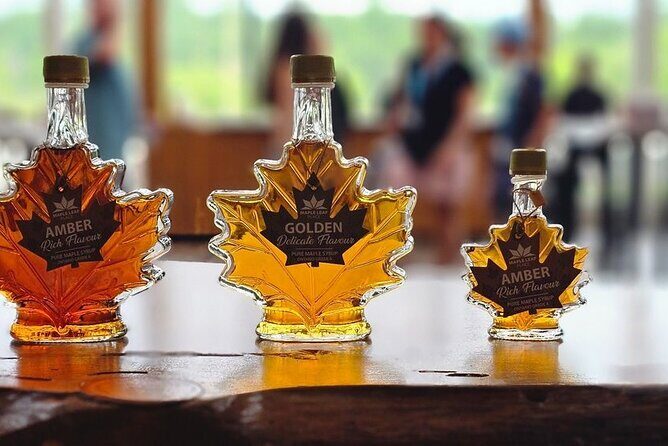 Toronto to Niagara Falls Evening Tour - Who Should Consider This Tour?