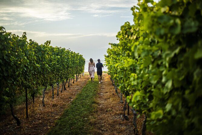 Toronto to Niagara Falls VIP Maple and Wine Tastings - Who Will Love This Tour?