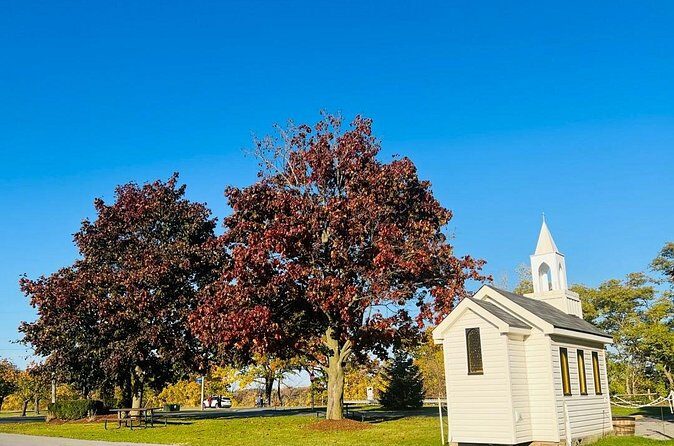 Toronto to Niagara Private Tour in Limousine - Who Should Consider This Tour?