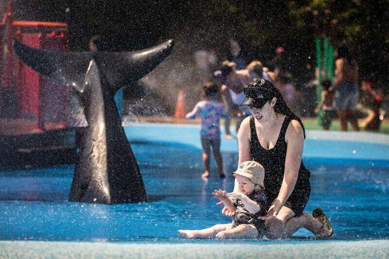 Toronto: Toronto Zoo Entry Ticket - A Closer Look at What You Can Expect at the Toronto Zoo