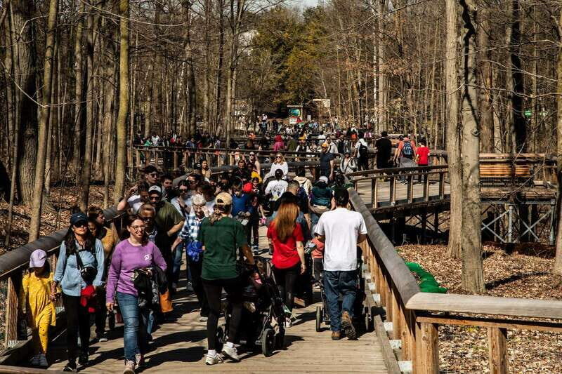 Toronto: Toronto Zoo Entry Ticket - Final Thoughts