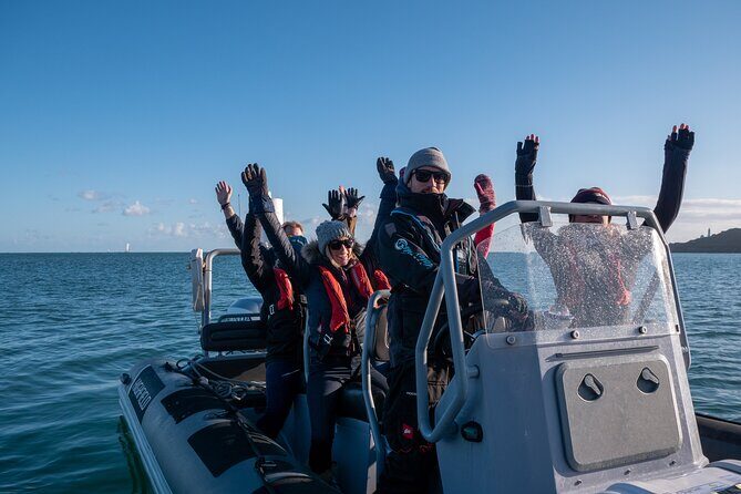 Torquay Coastal RIB Seafari - The Experience in Detail: What to Expect