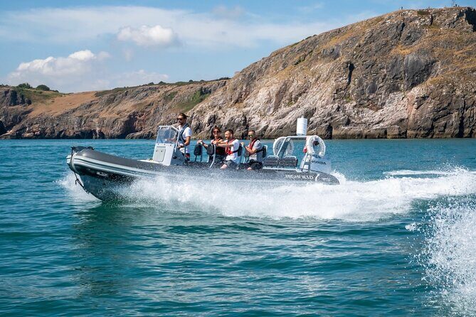 Torquay Coastal RIB Seafari - The Sum Up: Why You Should Try the Torquay Coastal RIB Seafari