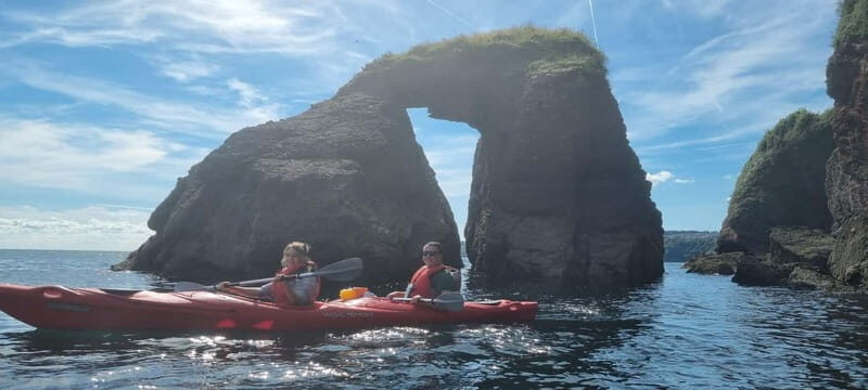 Torquay: Wildlife, Bushcraft and Sea Cave Kayak Safari - The Beach Stop: Fossil Hunting and Wild Herbs