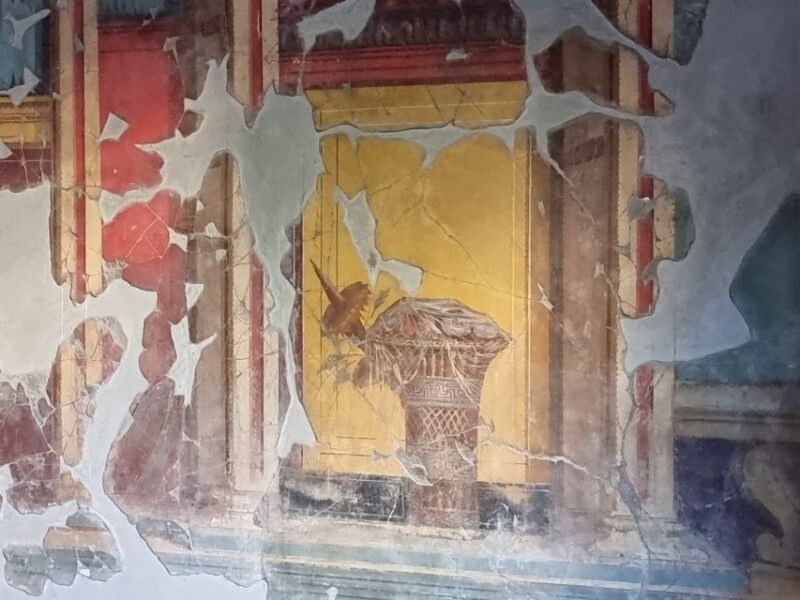Torre Annunziata: Villa Poppea Smartphone Audio Guide - FAQ