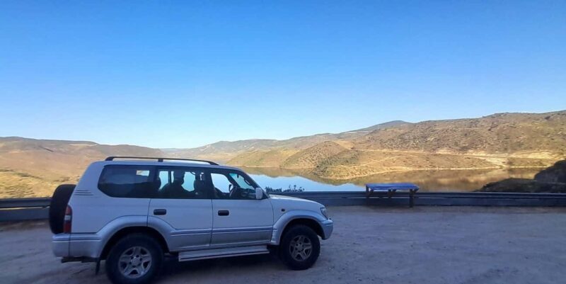 Torre de Moncorvo: Douro Valley Wine Farm & Rural Workshops - Who Will Enjoy This Tour?
