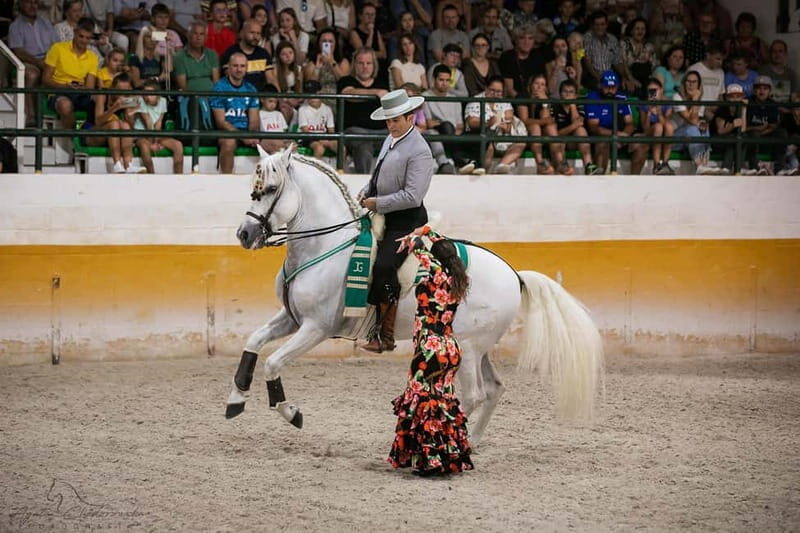 Torremolinos: Spanish horse show and flamenco with dinner option - Experience the Charm of Andalusia: Horse Show, Flamenco, and Dinner in Torremolinos