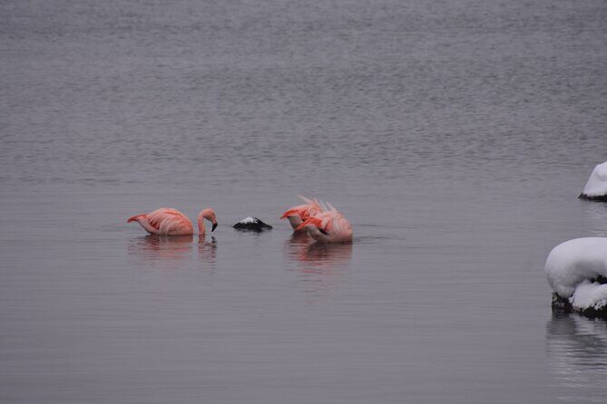 Torres del Paine 3-Day Private Tour - FAQ