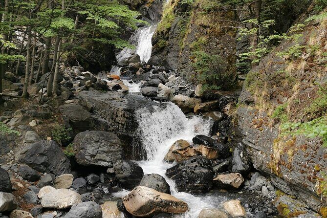 Torres del Paine Base Full Day Trekking Tour - In-Depth Review: Discovering Patagonia’s Crown Jewel