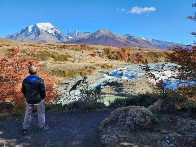 Torres del Paine Day Trip from El Calafate - Key Points