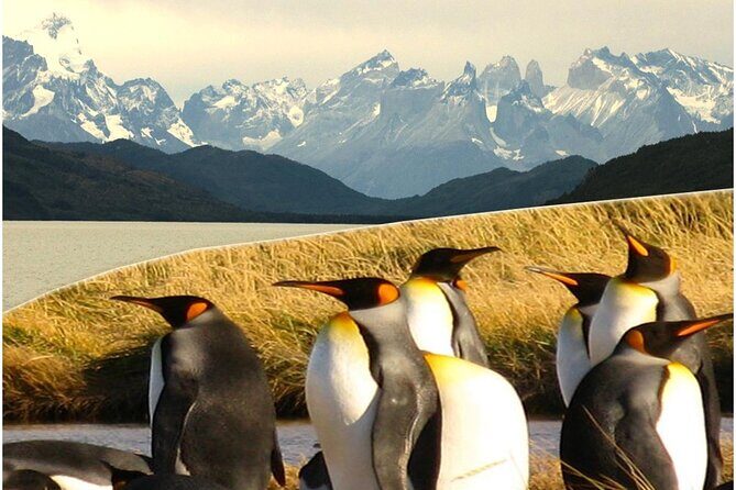 Torres del Paine & Tierra del Fuego ( king penguis) - Final Thoughts