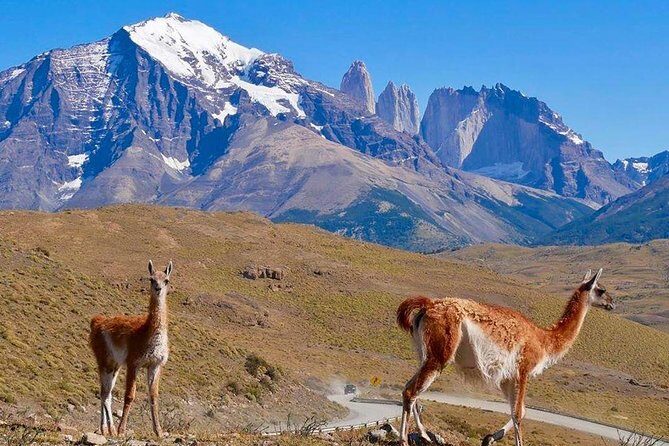 Torres del Paine Tour from Punta Arenas - Final Thoughts