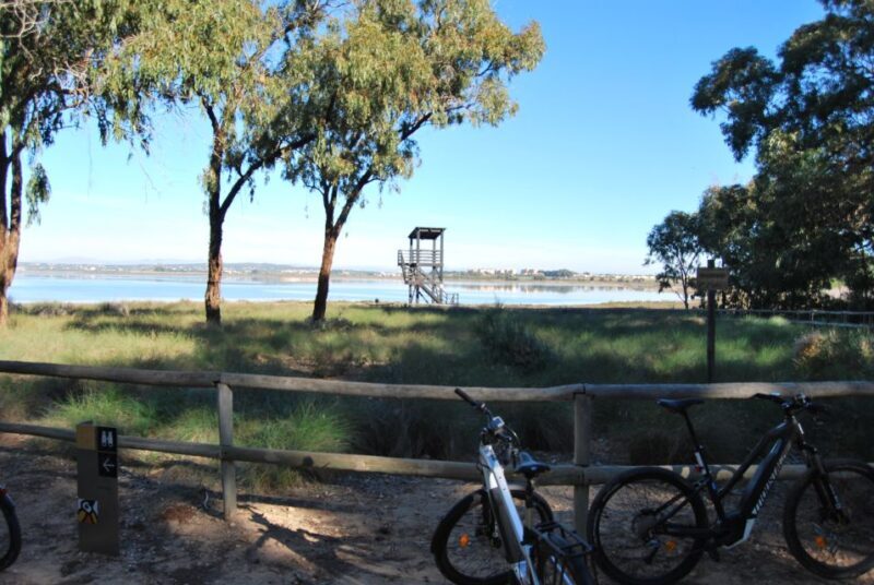 Torrevieja: Natural Parks e-Bike Tour - Key Points