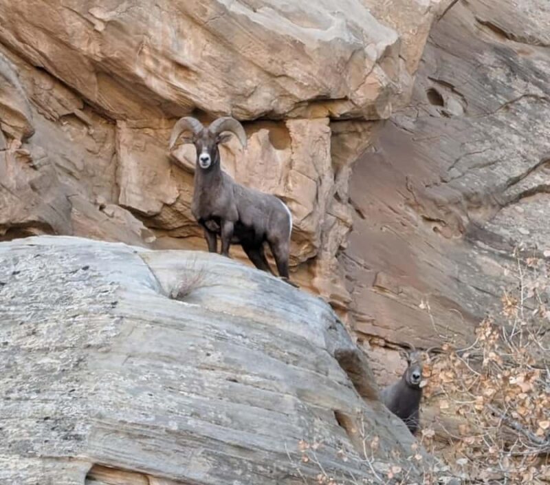Torrey: Capitol Reef National Park Temples of the Sun & Moon - Experience the Hidden Side of Capitol Reef: Temples of the Sun & Moon