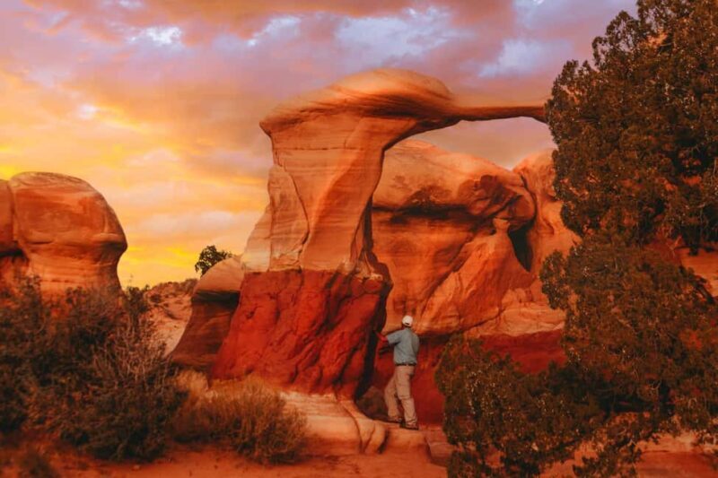 Torrey: Cosmic Ashtray, Devil's Garden, and Cedar Wash Tour - An In-Depth Look at the Tour Experience