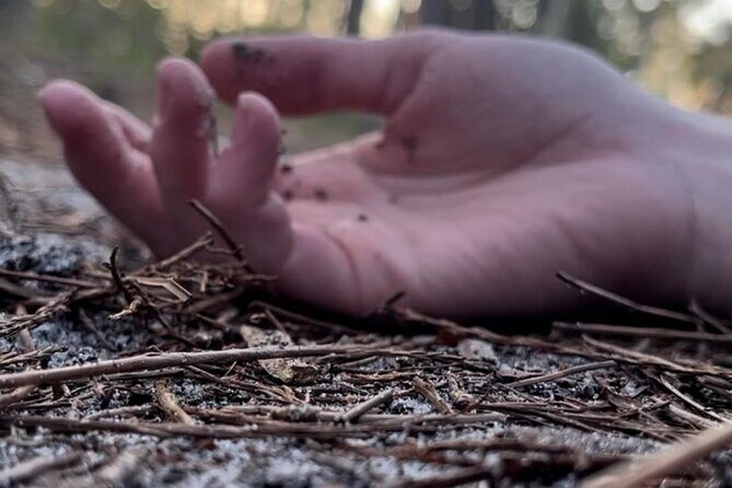 Torrid Tales True Crime Walking Tour of St Augustine - Why We Think This Tour Is a Great Value