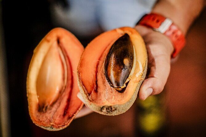 Tortilla Trails Food Tour with 15 Tastings - The Sum Up