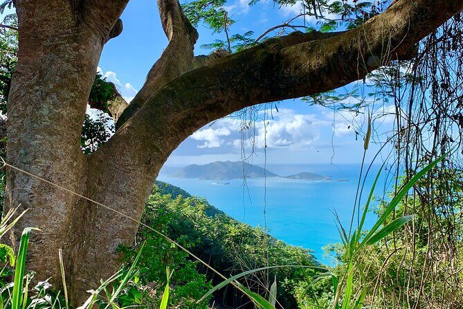 Tortola Private Tour and Snorkeling in the most beautiful beaches - What Travelers Say: Authentic Feedback