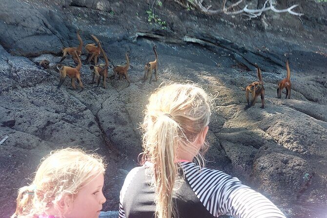 Tortuga Island Private Full-Day Boat Tour - Practical Details and What They Mean for You