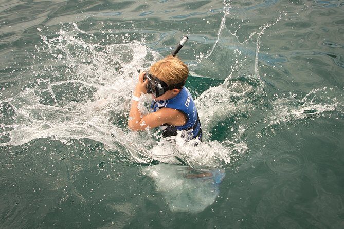 Tortuga Island Tour with Costa Cat - FAQ: Your Questions About the Tortuga Island Tour