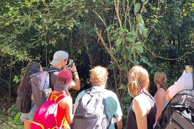 Tortuguero Canal Tour by Canoe - Frequently Asked Questions