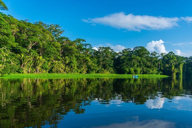 Tortuguero: Canoe tour + Night Jungle or Spawn Turtle - Why choose this tour?