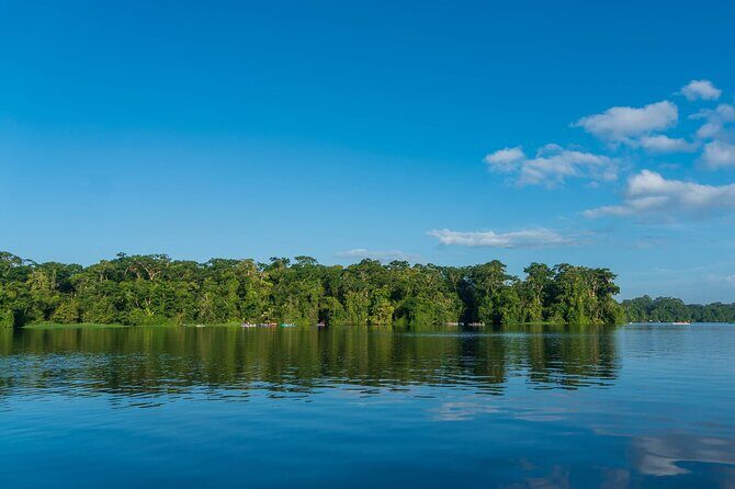Tortuguero: Canoe tour + Night Jungle or Spawn Turtle - Practical considerations