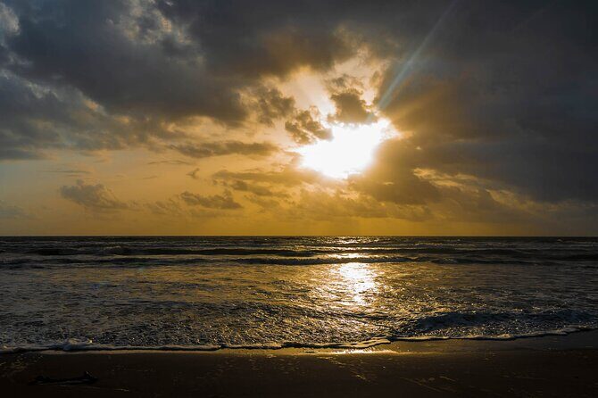 Tortuguero: Canoe Tour + Night Jungle Tour + Cerro Viewpoint Tour - Key Points