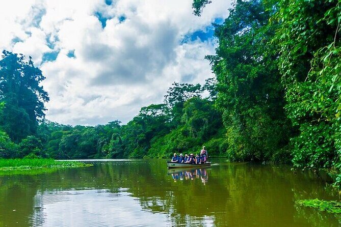 Tortuguero: Canoe Tour + Night Jungle Tour + Cerro Viewpoint Tour - Exploring Tortuguero’s Natural Wonders: An In-Depth Review