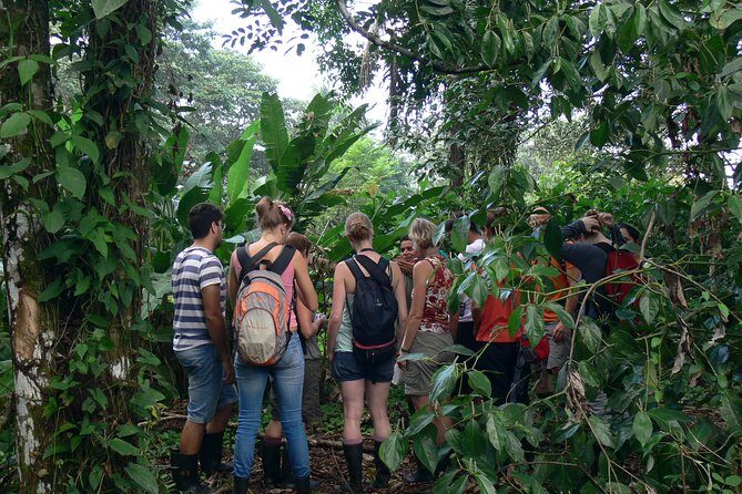 Tortuguero Clasicos - 2 Tours: Canoe and day hike - A Deep Dive into the Tortuguero Clasicos Tour
