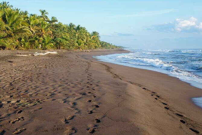 Tortuguero National Park - Admission Ticket - Who Would Enjoy This Experience?