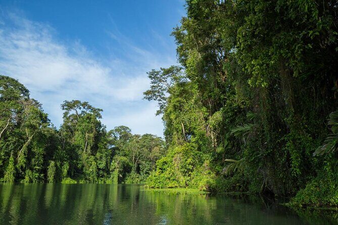 Tortuguero National Park Canal Tour with Canoe - Key Points