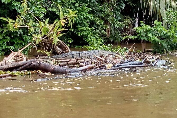 Tortuguero National Park Day Trip from San Jose - Practical Tips for Your Trip