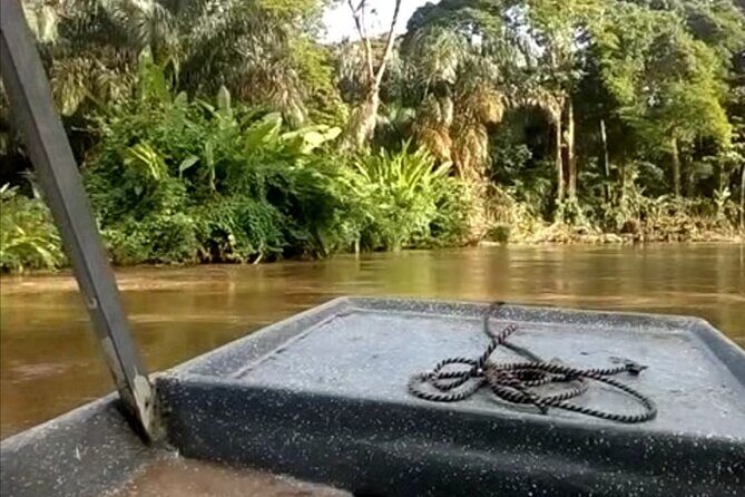 Tortuguero National Park Day Trip from San Jose - The Sum Up: Is This Tour Worth It?